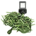 thumbnail image 2 of Vickerman 144 Multi-color LED Cluster Light Set, 24' Christmas Light Set, Green Wire, 2 of 4
