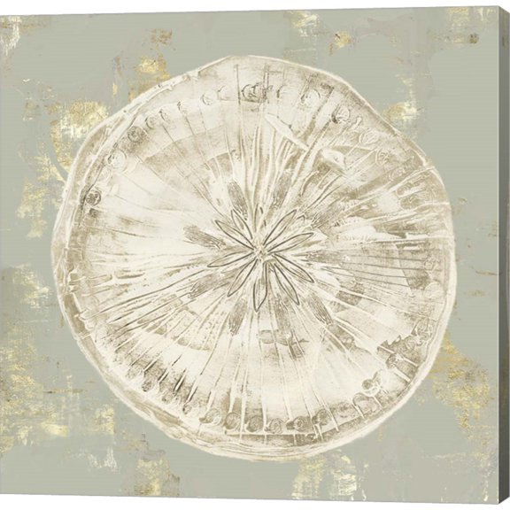 Cone Shells II by Aimee Wilson, Canvas Wall Art, 12W x 12H