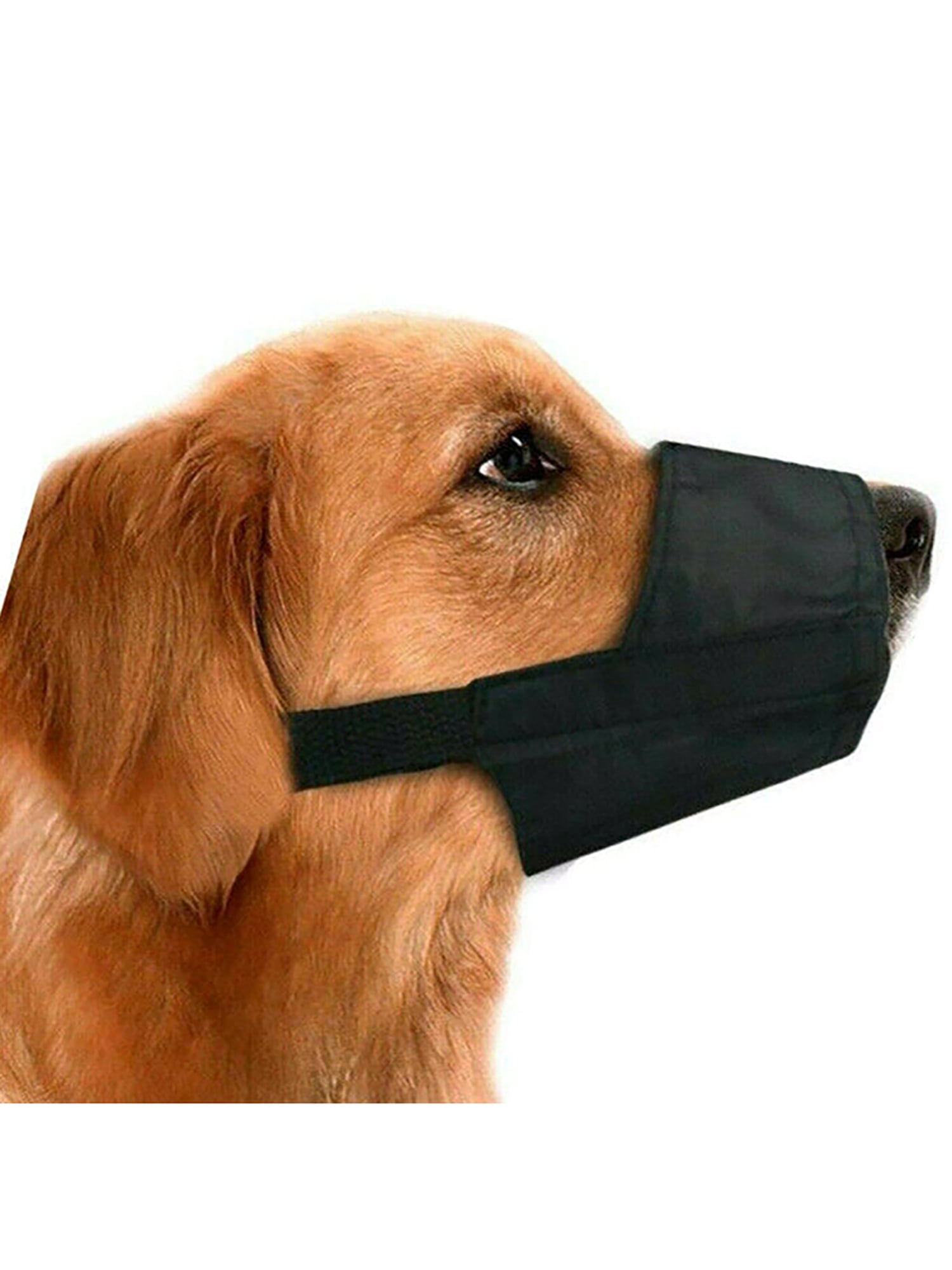 dog muzzle for chewing