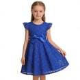 thumbnail image 2 of ZHOGXU Toddlers Kids Girls Lace Dress Summer Flying Sleeves Round Neck Solid Color Elegant Comfortable Dresses For Daily Wear And Party,Blue,5-6 Years, 2 of 9