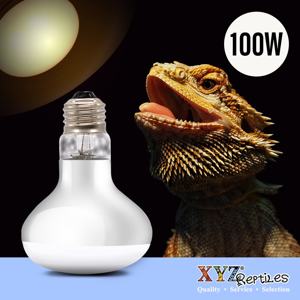 walmart reptile light
