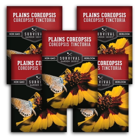 Plains Coreopsis Seeds for Planting | Native Flower Coreopsis Tinctoria - Calliopsis - 5 Packs