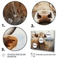 thumbnail image 3 of Designart "Cow In The pasture III" Animals Canvas Art Print, 3 of 5