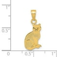 thumbnail image 4 of 14k Yellow Gold I Heart My Cat on Reverse Cat Pendant, 4 of 5