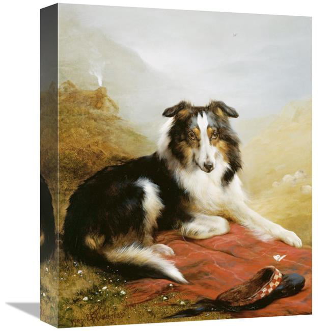 ROUGH COLLIE DOGS GUARDING SHEEP LOVELY LITTLE DOG PRINT MOUNTED READY TO FRAME 