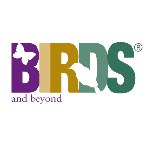 Bird and Beyond 25" Tall Foldable Outdoor Bird Bath Stand, Black