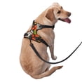 thumbnail image 3 of Lsque Sloth on the Branch Dog Harness, No-Pull Pet Harness with 2 Leash Clips, Adjustable Soft Padded Dog Vest with Easy Control Handle for Large Dogs-Small, 3 of 9