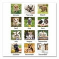 thumbnail image 3 of Puppies Monthly Wall Calendar, Puppies Photography, 15.5 x 22.75, White/Multicolor Sheets, 12-Month (Jan to Dec): 2026 | Bundle of 5, 3 of 7