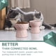 thumbnail image 5 of Para gatos, juego de comida para gatos de cerámica antivómitos, juego de comida para gatos elevado para perros pequeños, 13,5, 5 of 5