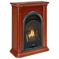thumbnail image 2 of ProCom Dual Fuel Ventless Gas Fireplace System - 10,000 BTU, T-Stat Control, Apple Spice Finish - Model# FS100T-3AS, 2 of 10