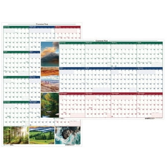 House Of Doolittle 642 12-Month Laminated Wall Planner 36 X 24