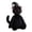 Witch Hat Black Cat Plush-#009, variant on 11.8in Black Bat Plush Throw Pillow, Goth Decor Cushion with White Vein Wings & Eyes, Halloween Sofa Bedroom Car Decor Gift