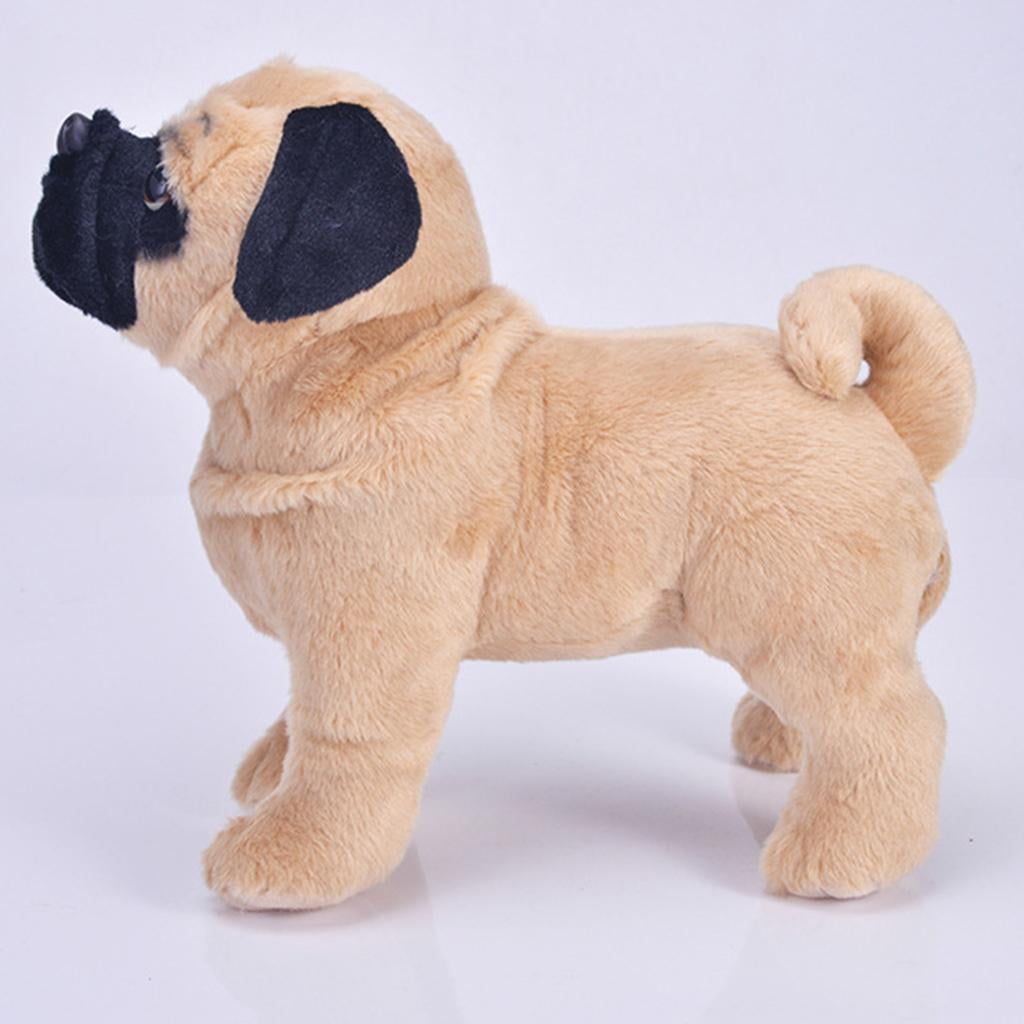 Pug teddy smyths 2025