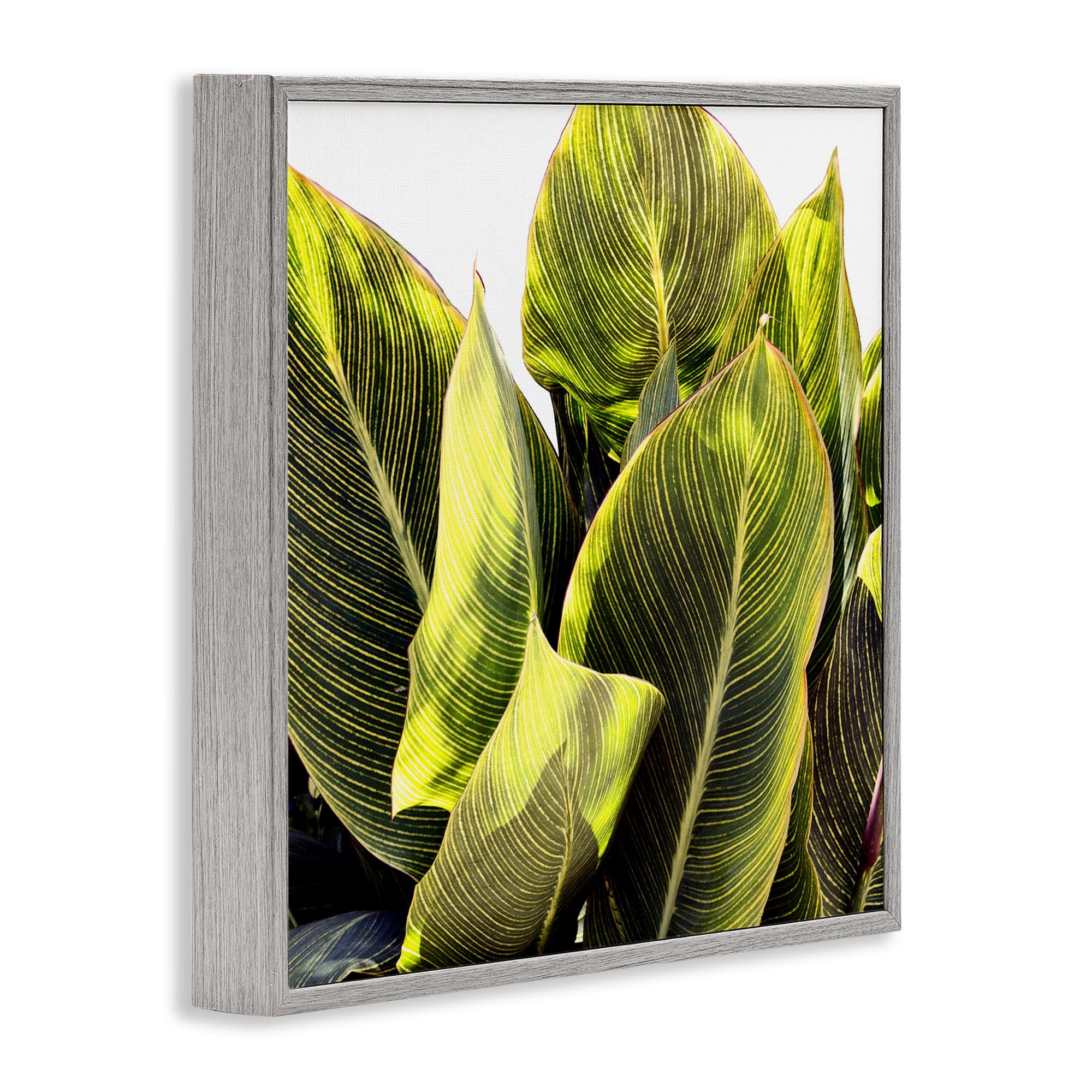 Stupell Industries Bright Tropical Leaves Botanical & Floral Painting Gray Framed Art Print Wall Art, 12 x 12