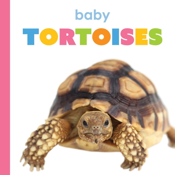 Starting Out Baby Tortoises, (Hardcover)