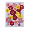 thumbnail image 1 of Flor seca en relieve flores decorativas artesanales artesanales plantas de ramo floral suministro de hogar para tarjetas de boda velas de resina primavera Methold HA010744-02, 1 of 7