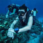 Shearwater Peregrine TX Wrist Dive Computer with Smart AI Transmitter