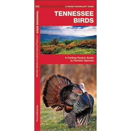 Pocket Naturalist Guides Tennessee Birds A Folding
