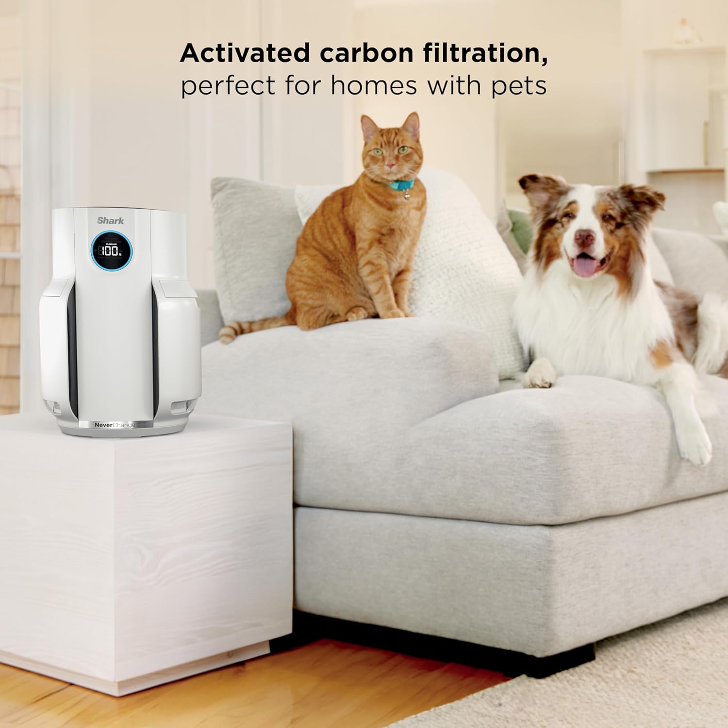 Shark NeverChange Air Purifier — HEPA exceeding filtration for up to 5 years for home, pets, allergies, dust, and smoke up to 650 sq. ft. for bedroom, dorm, nursery, and more. White, HP153