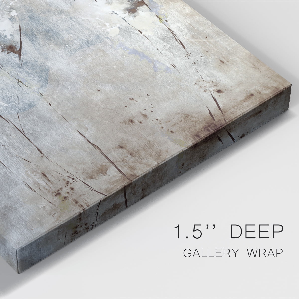 HERE TODAY, GONE TOMORROW Premium Gallery Wrapped Canvas - Ready to Hang
