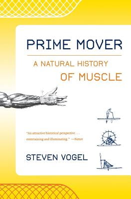 prime mover muscle prime mover muscle