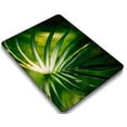thumbnail image 1 of KSK KAISHEK Hard Shell Case for MacBook Pro 16 inchs with XDR Display & Touch ID Type C + Black Keyboard Cover Model: A2141 (Plants series 0606), 1 of 5