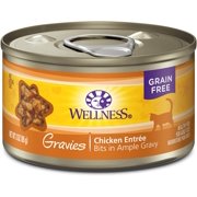 Wellness Complete Health Grain Free Wet Cat Food, Gravies Bits in Rich Gravy, Natural, Cat Food, Adult, No Wheat, Corn, Soy, Artificial Flavors, Colors, Carrageenan or Preservatives