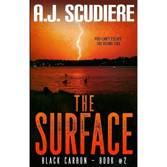 Black Carbon The Surface, Book 2, (Paperback)