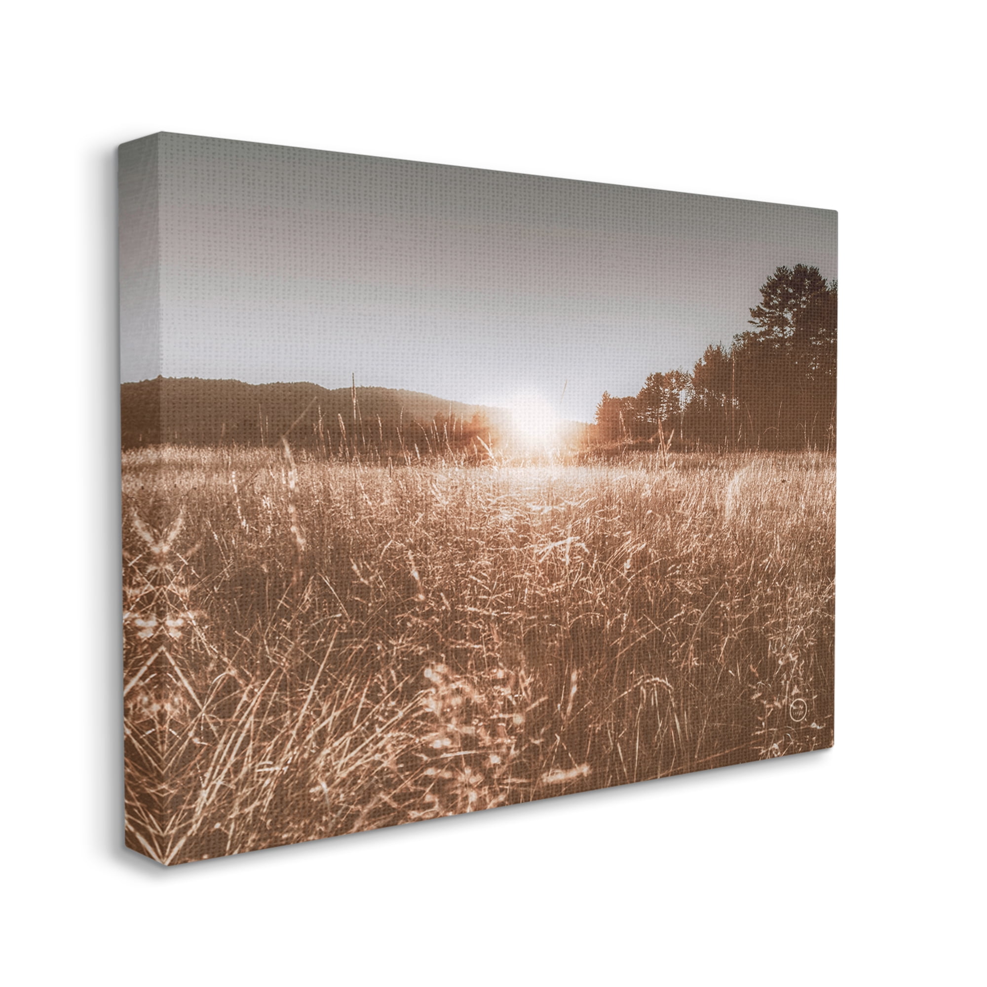 Stupell Industries Sunrise Country Meadow Tall Grass Light Burst Photography, 30 x 24,Design by Nathan Larson
