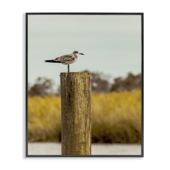 Stupell Industries Gull On Piling Black Framed Giclee Art, design by Christy Berry