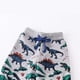 thumbnail image 5 of Odeerbi 2-8 Años Para Niños Pantalones de Algodón Entrenamiento de Estampado de Dinosaurio Athletic Sports Jogger Pantalones de Primavera Bordados Joggers, 5 of 6