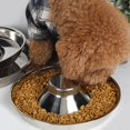 thumbnail image 3 of Suministros para cachorros, cuencos de comida para perros inoxidables, comedero para mascotas y cuenco de agua, 3 of 5