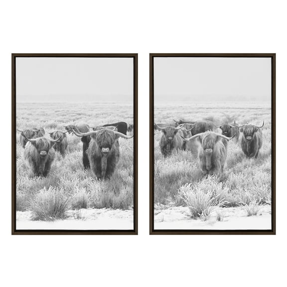 Sylvie Herd of Highland Cows 23 in x 33 in Framed Photography Canvas Art Prints, by Kate and Laurel Set of 2