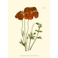 thumbnail image 2 of Curtis 19x24 White Modern Wood Framed Museum Art Print Titled - Fiery Florals II, 2 of 4