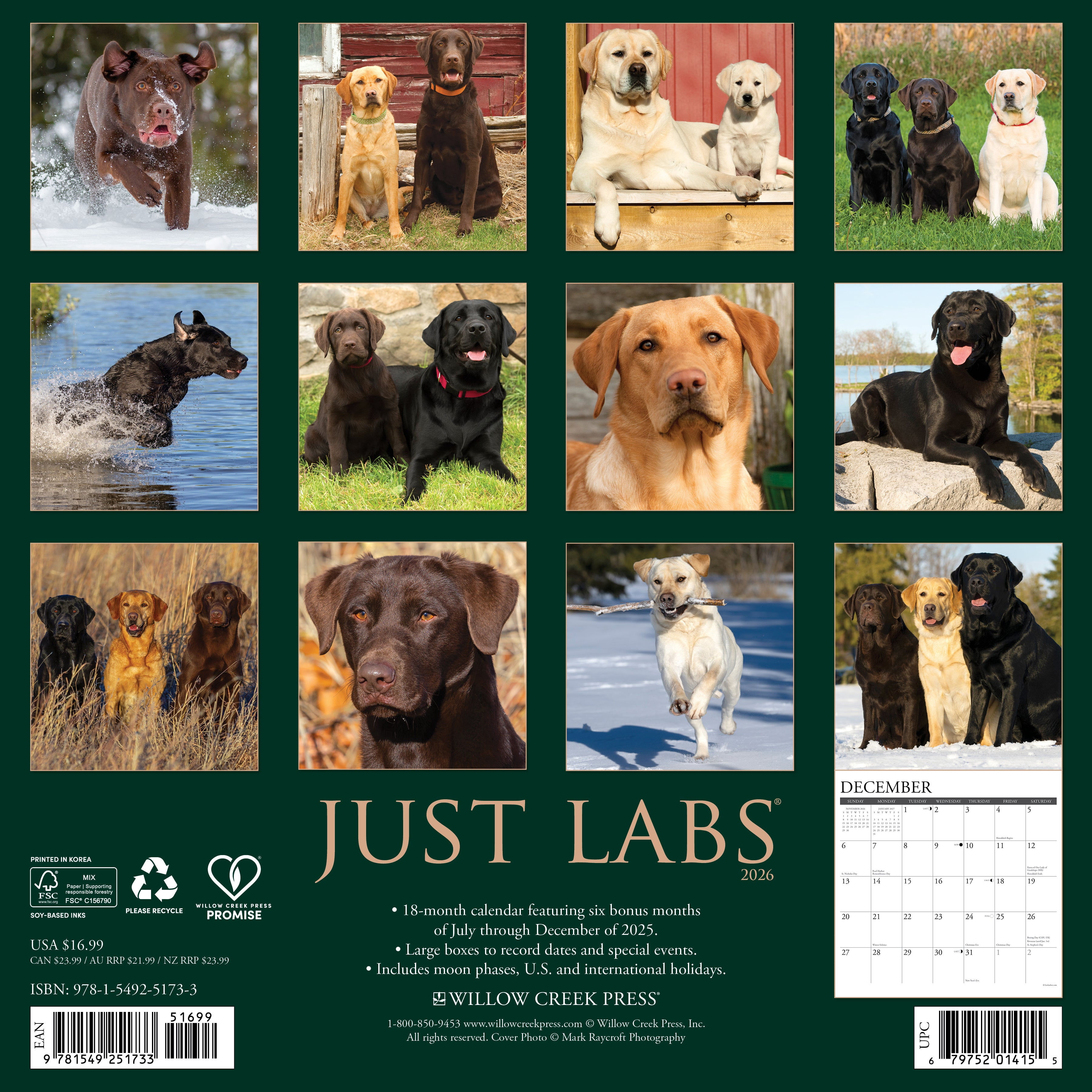 Labs 2026 Wall Calendar, (Paperback)