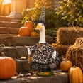 thumbnail image 3 of Halloween Eyeball Print Witch Outfit with Lace Hat, Fits 23 Inch Porch Goose Statue, by Sktrjpolfis, 3 of 6