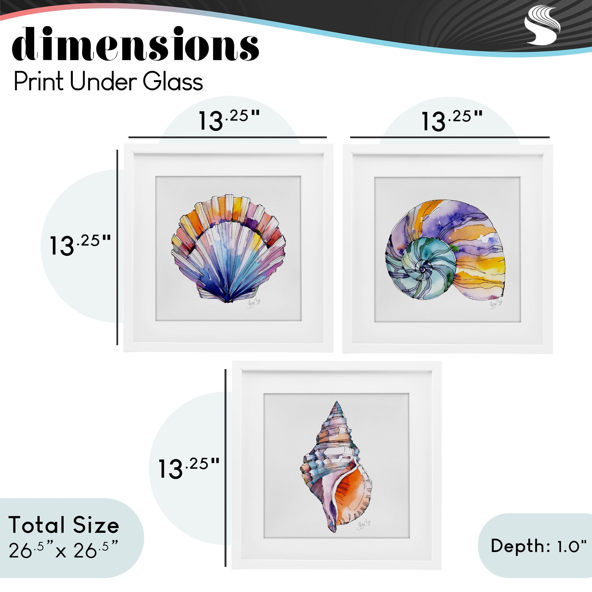 Stupell Industries Sunlit Seashells Watercolors 3 Piece White Framed Print Under Glass Set, design by Shelly Craig