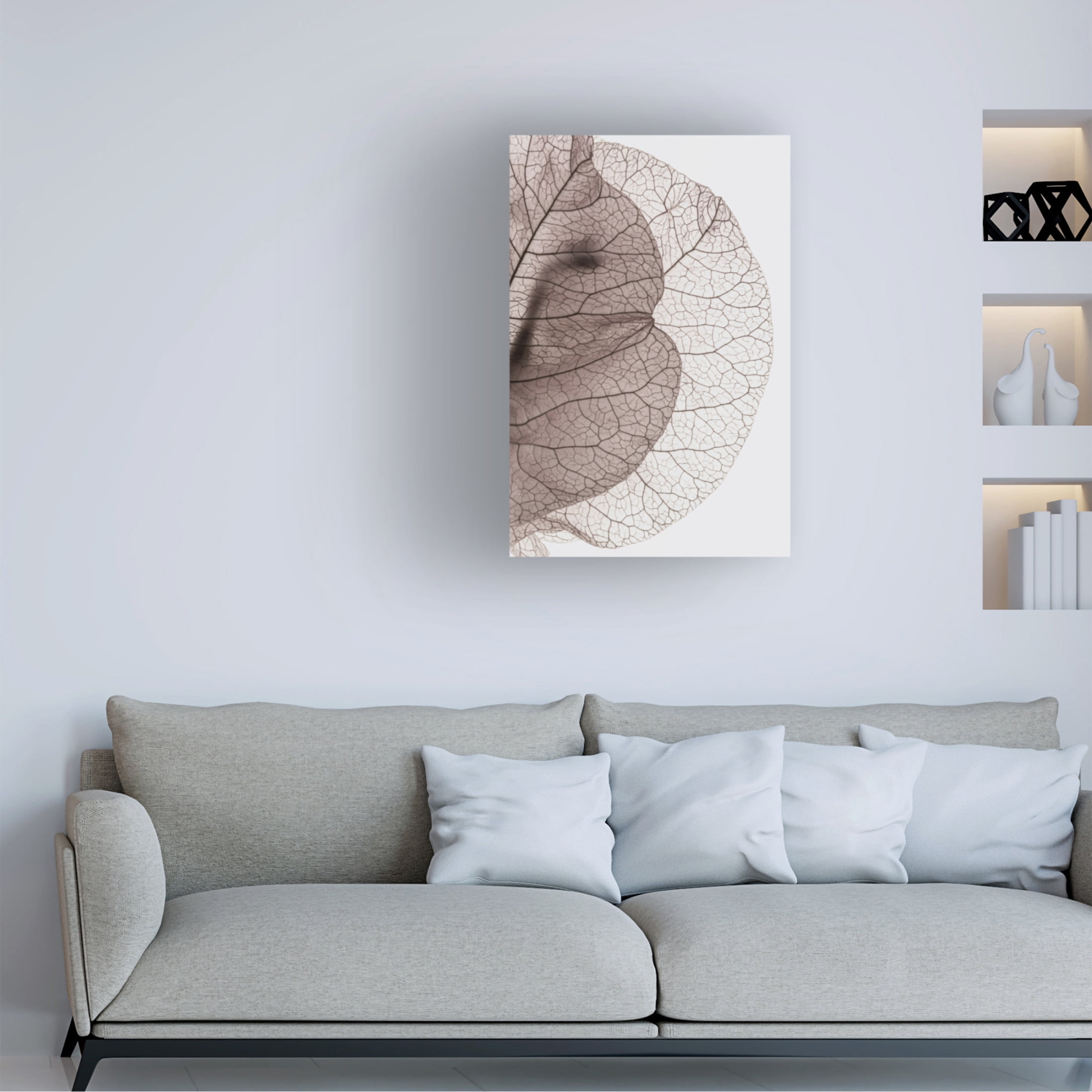 Trademark Fine Art Shot by Clint Bougainvillea Island Canvas Wall Art