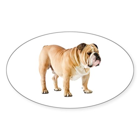 CafePress - English Bulldog - Sticker (Oval)