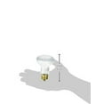 thumbnail image 2 of Satco S7002 - 100 watt R20 Incandescent; Frost; 2000 average rated hours; 1000 lumens; Medium base; 12 volts, 2 of 2