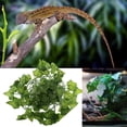 thumbnail image 5 of Climber Flexible Leaves Terrarium Jungle Habitat Decor for Snake, 5 of 7