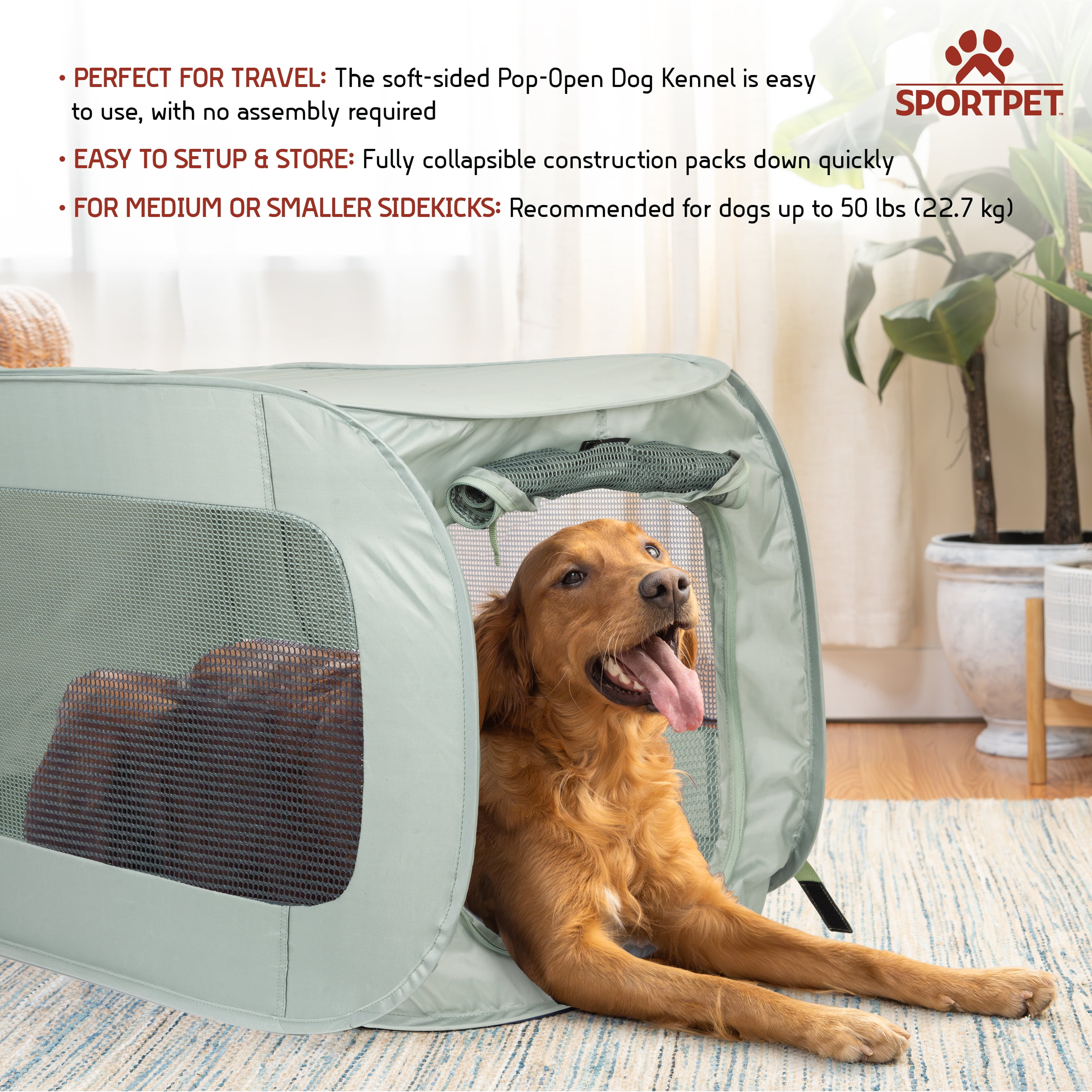SportPet Designs Pop-Open Soft-Sided Kennel for Pets, Light Green