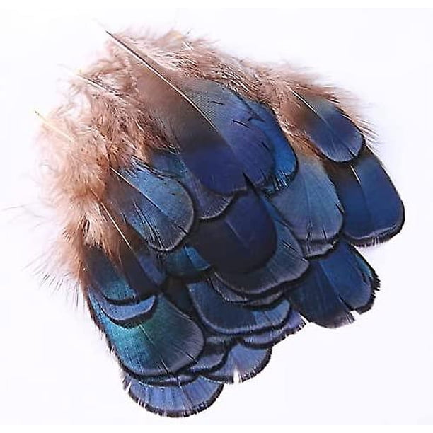 Plumas artesanales naturales, 50 piezas Mini tabletas azules Plumas de pollo (2-4 pulgadas) para pendientes de bricolaje Accesorios Alas Atrapasueños Artesanía