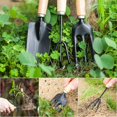 thumbnail image 4 of Mini juego de herramientas de jardín, kit de herramientas de jardín con mango de madera de 3 piezas y metal negro compatible con Trowel, cultivador Afortunado Sencillez, 4 of 5