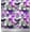 Violet, variant on Soimoi Silk Fabric Check,Nest & Owl Cartoon Print Sewing Fabric Yard 42 Inch Wide