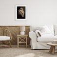 thumbnail image 3 of Stupell Industries Coastal Sleeping Egret in Golden Light White Framed Print Under Glass, 14 x 20, by Petals Prints Design, 3 of 8