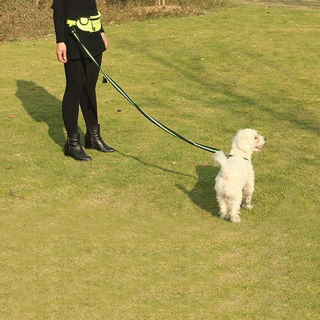 EIMELI Laisse de Chien Mains Libres avec Sac à Taille Chien en Cours d'Exécution Nylon Déchets Durables Chien Formation Laisse Fournitures pour la Course Marche Formation Randonnée