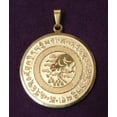 thumbnail image 1 of Feng Shui Import LLC 3077 Talisman Gros Argent, 1 of 1