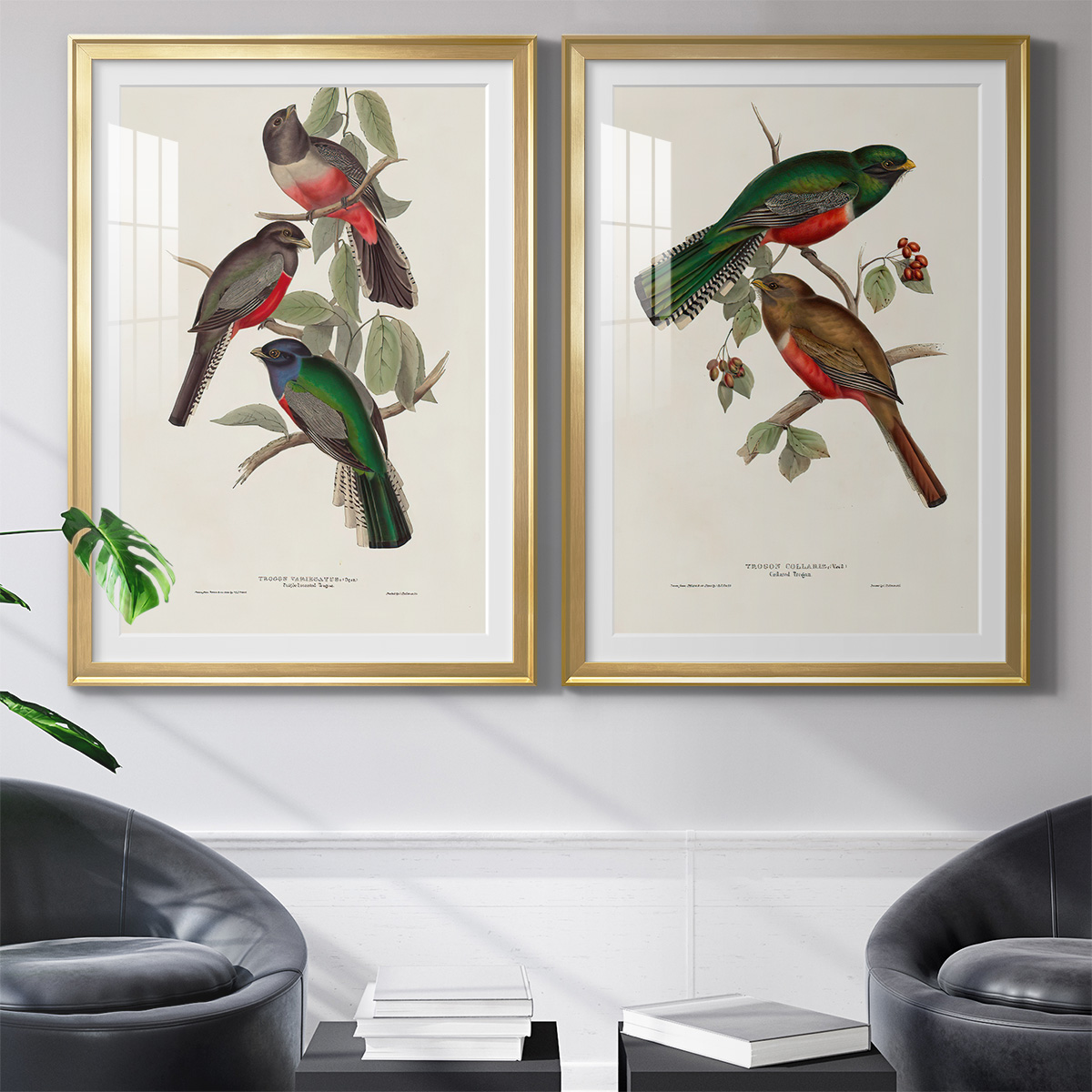 Wexford Home Elegant Trogons V Premium Framed Print, 18.5" x 24.5" - Ready to Hang, Gold (Set of 2)