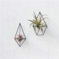 thumbnail image 3 of New Wall Mounted Air Plants Holder Irregular Geometric Metal Hanging Rack for Branch Eave Ceiling, 3 of 5